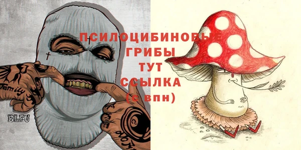 гидропоника Алексеевка