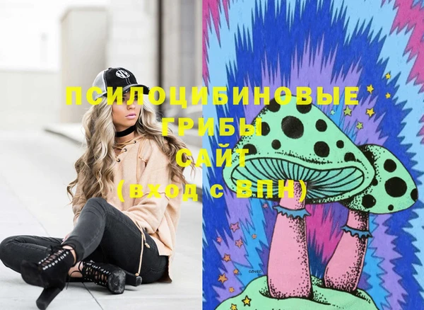 гидропоника Алексеевка