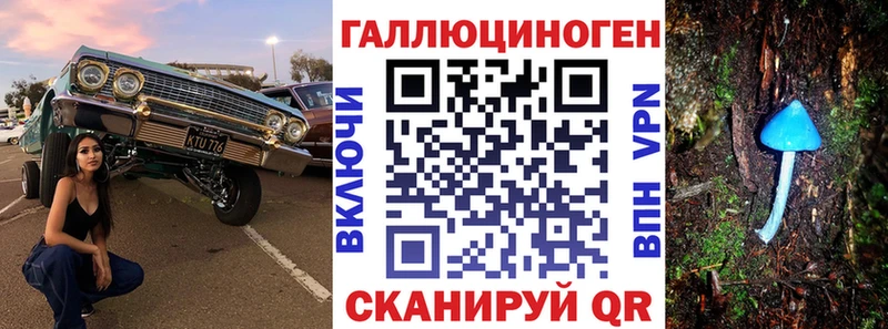 блэк спрут ONION  Сасово  Галлюциногенные грибы мицелий 